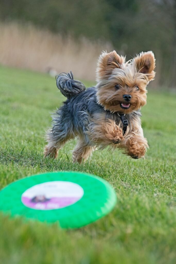 Resultados de la estimulación mental